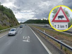 Susto en Ourense: herido tras colisionar contra un jabalí en este punto de la A-52