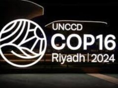 25 años de Factorenergia: reivindicando su espíritu emprendedor y su apuesta por la sostenibilidad