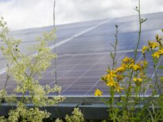 Badajoz será el escenario de la jornada sobre agrovoltaica en la península ibérica organizada por UNEF y Apren