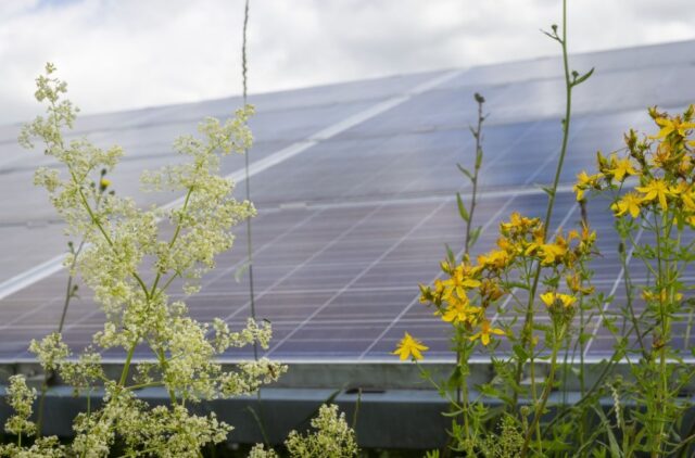 Badajoz_acoge_agrovoltaica_en_la_peninsula_iberica_organizada_por_UNEF_Y_APREN.jpg