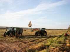 Ranking Global 100: Unilever es reconocida por su compromiso sostenible