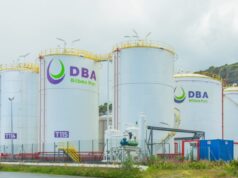 Hafesa termina 2024 con un fuerte aumento en su facturación