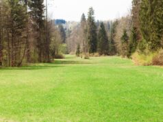 Desbroce de fincas en Ourense con Xursan: prevención, normativa y tranquilidad