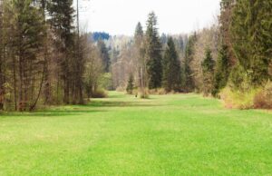 Desbroce de fincas en Ourense con Xursan: prevención, normativa y tranquilidad