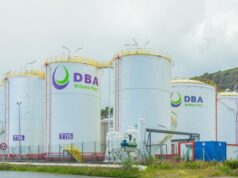 Hafesa ha aportado 1.360 millones en impuestos a la Hacienda Foral de Vizcaya desde 2019