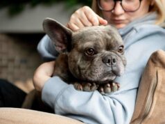 Advance presenta el Vitality Test, nueva solución digital para el cuidado de perros senior