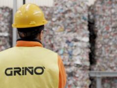 Grupo Griñó cierra 2024 con más de 200 millones de facturación