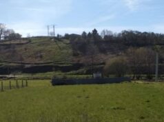 Herida una vecina de Monterrei tras caerle un árbol mientras cortaba leña