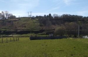 Herida una vecina de Monterrei tras caerle un árbol mientras cortaba leña
