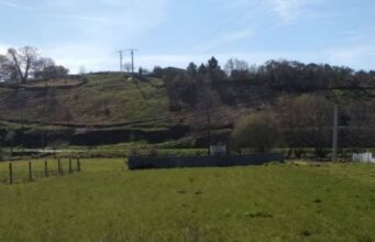 Herida una vecina de Monterrei tras caerle un árbol mientras cortaba leña