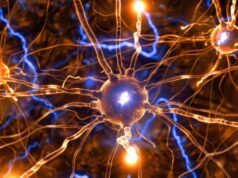 El Grupo Español de Investigación en Neurooncología presentará avances en el XVII Simposio Geino en Madrid