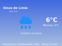 AEMET: El tiempo para Xinzo de Limia – 20 de Diciembre de 2025