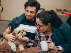 Andalucía aprueba ayuda por mascota en la Renta: mira si tu comunidad también ofrece deducciones