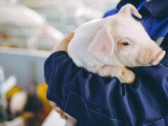 Adespofa y TÜV SÜD garantizan el cumplimiento ambiental en granjas de Murcia