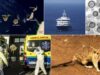 Canarias podría sufrir un grave deterioro reputacional por el caso del MV Hondius