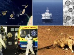 Canarias podría sufrir un grave deterioro reputacional por el caso del MV Hondius