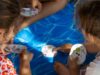 La Fundación ”la Caixa” ofrece un verano de ocio educativo a más de 95 niños y niñas en situación de vulnerabilidad en Ourense