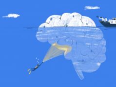 El cerebro desvela nuevas respuestas sobre el metabolismo y la infertilidad