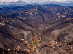 El inquietante aviso de los pueblos quemados de Ourense: “Este año ya no queda nada que pueda arder”