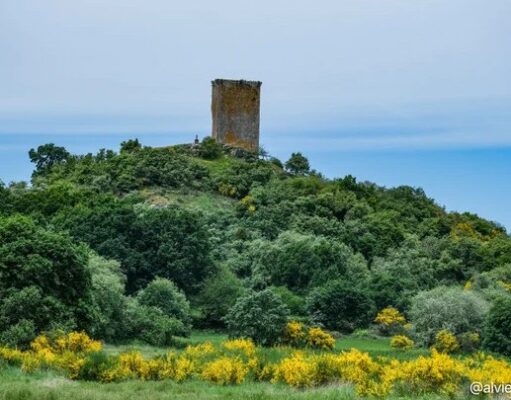 La patata de A Limia aguanta el tipo, pero el calor reduce la cosecha y obliga al campo a buscar alternativas