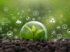 De reciclar a competir mejor: el salto sostenible que afrontan las pymes