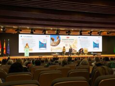 GNConecta reunirá recursos para comprender y afrontar las enfermedades glomerulares